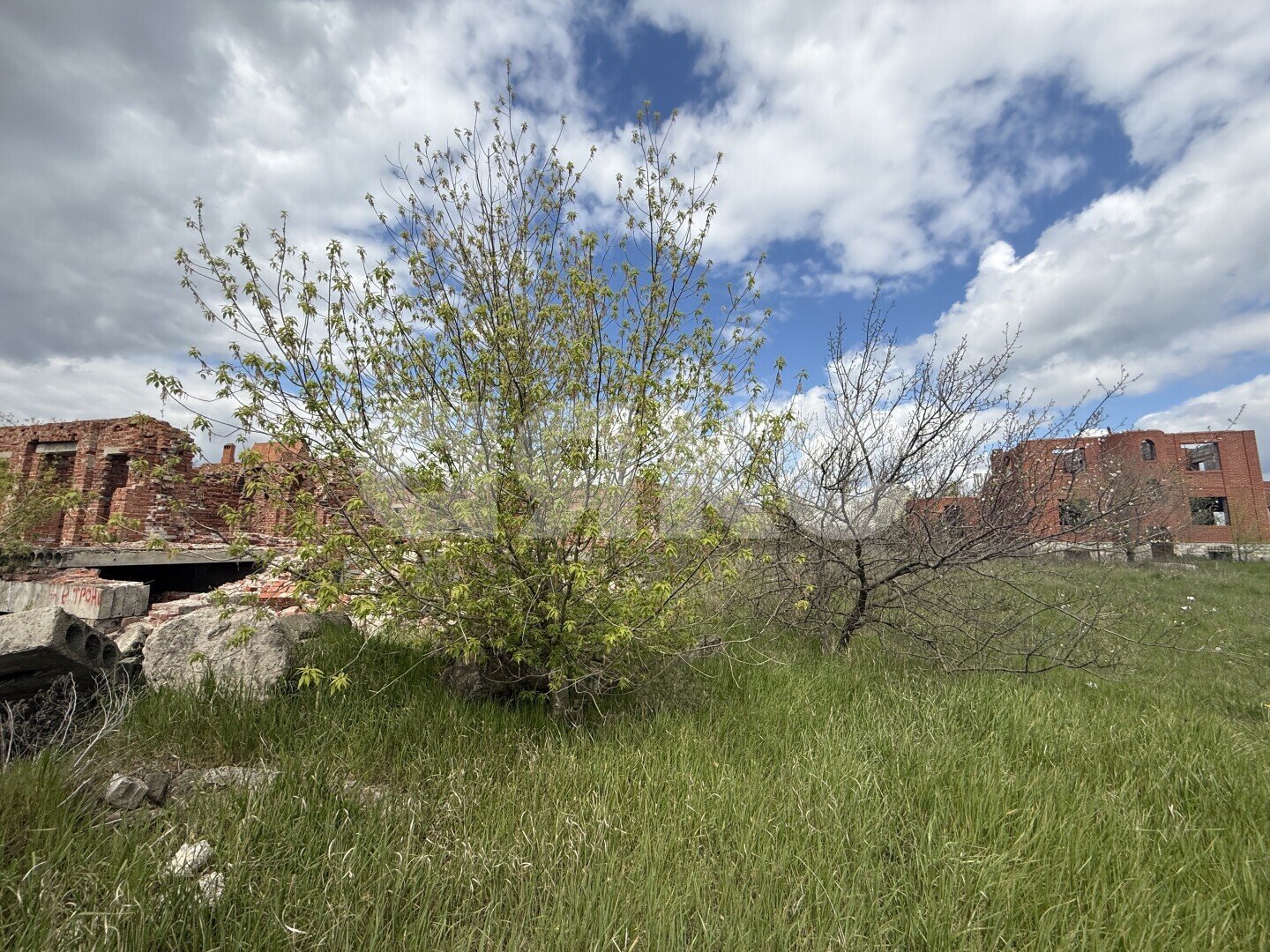 Фото №4: Земельный участок под ИЖС 12.3 сот. - Бердянское