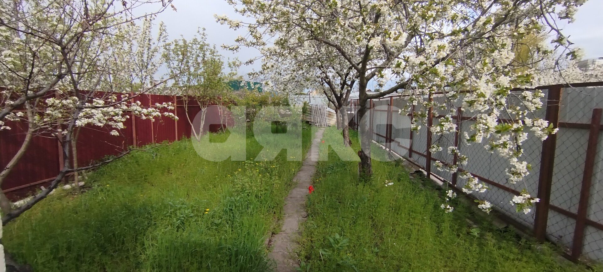 Фото №5: Дом 61 м² + 3.5 сот. - Мариуполь, Приморский, мкр. Черёмушки, ул. Ласкова