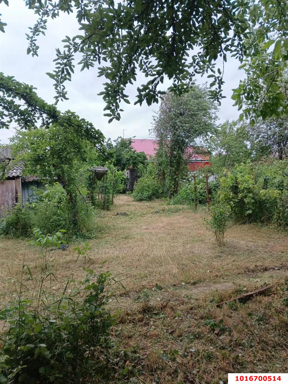 Фото №4: Земельный участок под ИЖС - Знаменский, Карасунский внутригородской округ, мкр. СТ Рассвет, ул. Сиреневая, 47