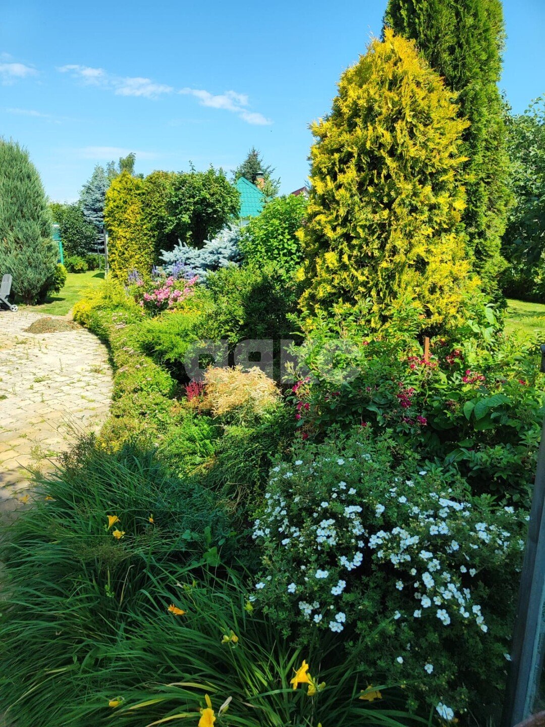 Фото №3: Дом 91 м² + 26 сот. - Слободино, ул. Новая