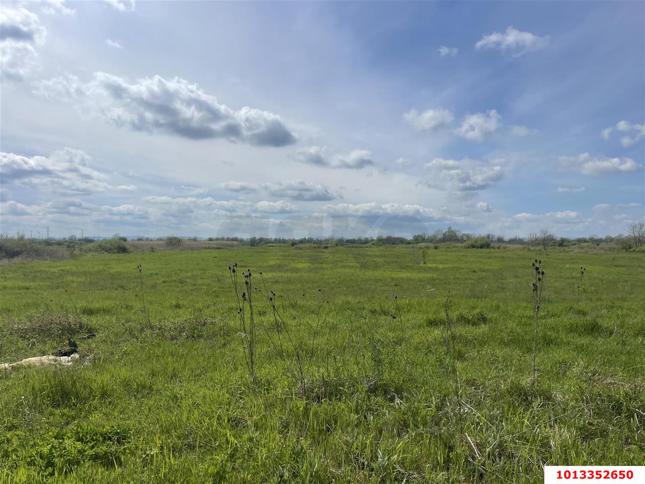 Фото №4: Коммерческая земля 287 сот. - Новобжегокай