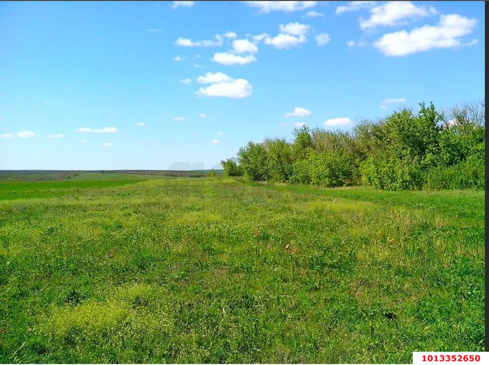 Фото №3: Коммерческая земля 287 сот. - Новобжегокай