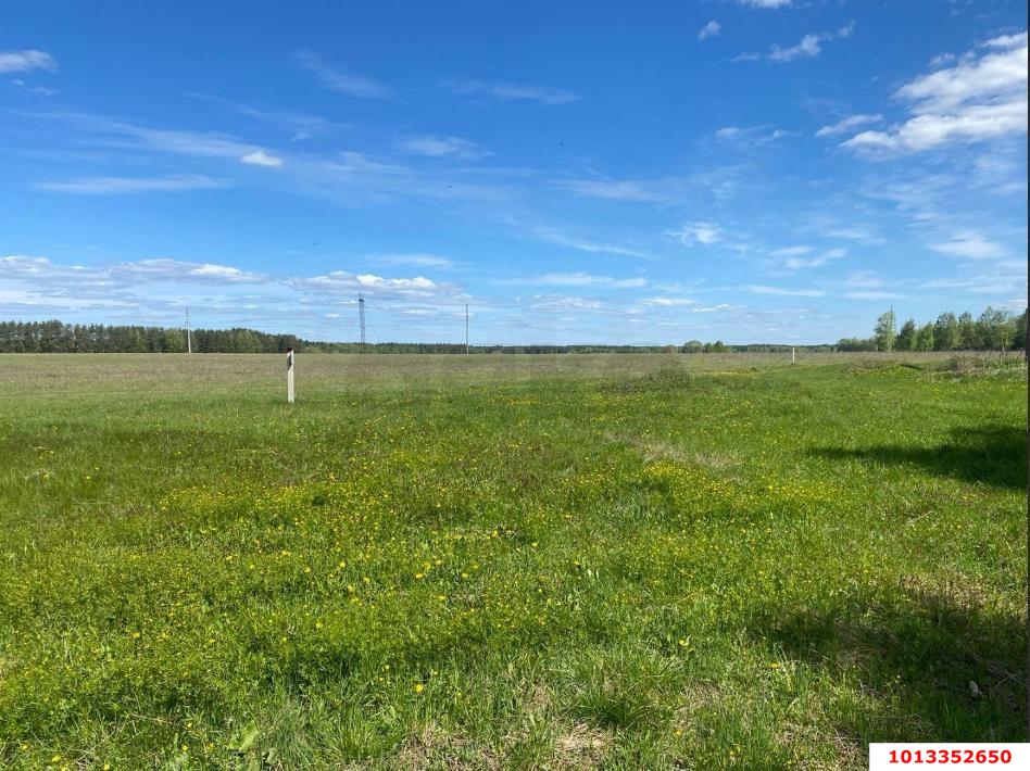 Фото №2: Коммерческая земля 287 сот. - Новобжегокай