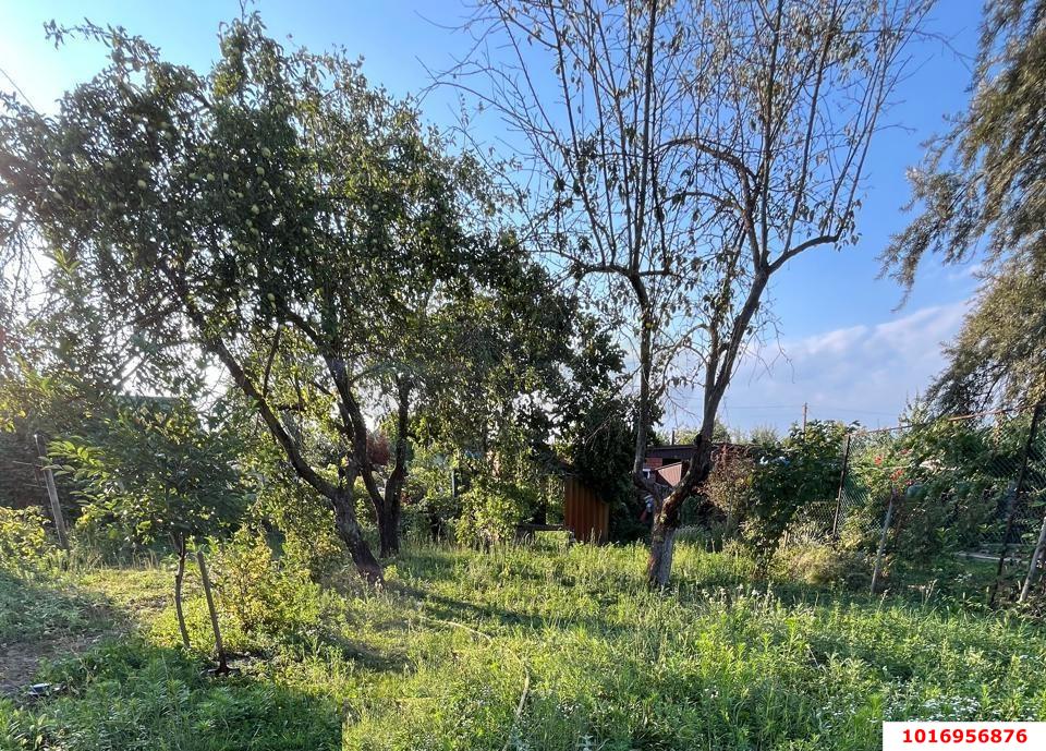 Фото №2: Дом 45 м² + 19.77 сот. - Урма