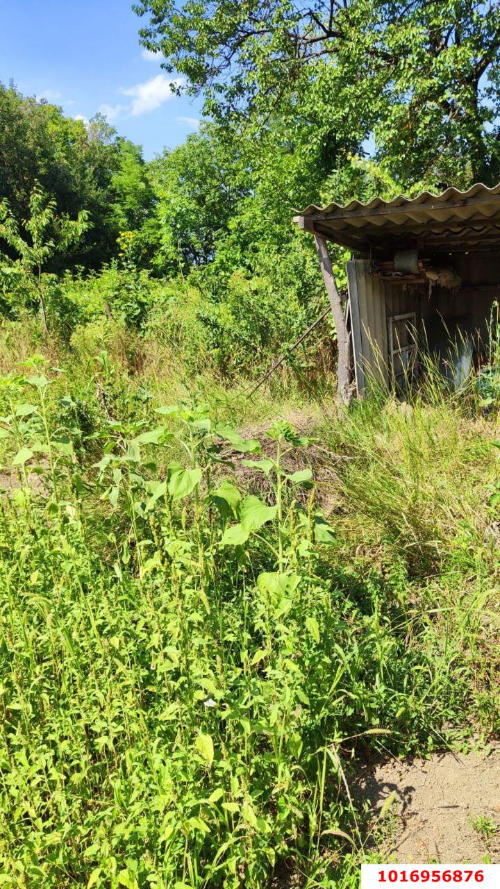 Фото №3: Дом 45 м² + 19.77 сот. - Урма