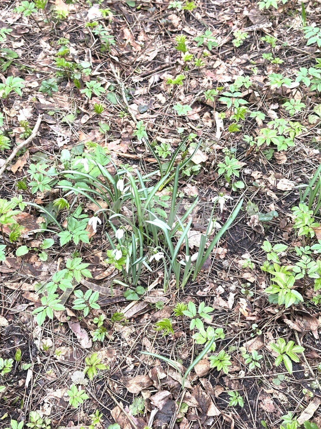 Фото №38: Дом 130 м² + 11 сот. - ДНТ Советский Художник