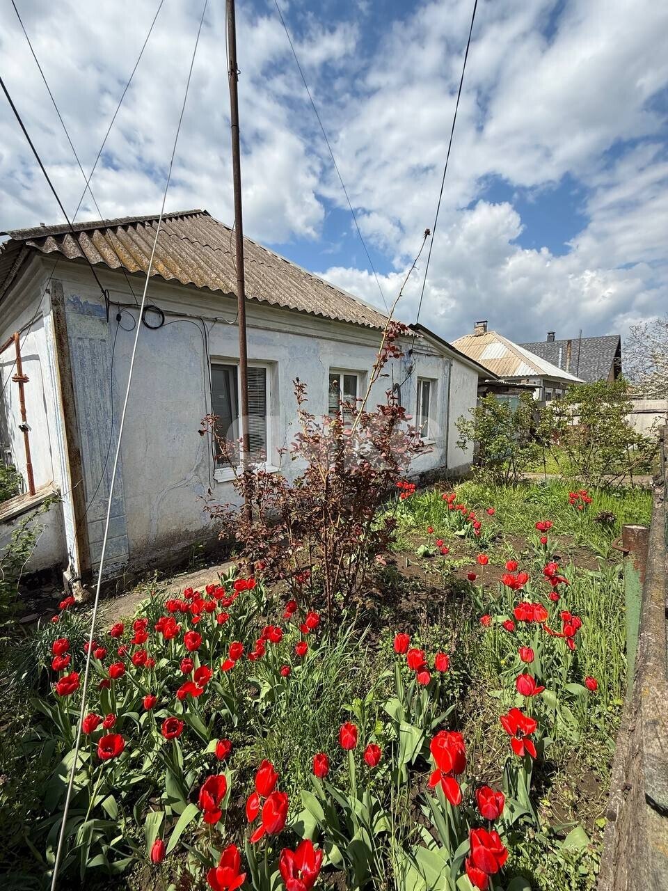 Фото №1: Дом 47 м² + 4.4 сот. - Мариуполь, р. Левобережный, ул. Панфилова, 114