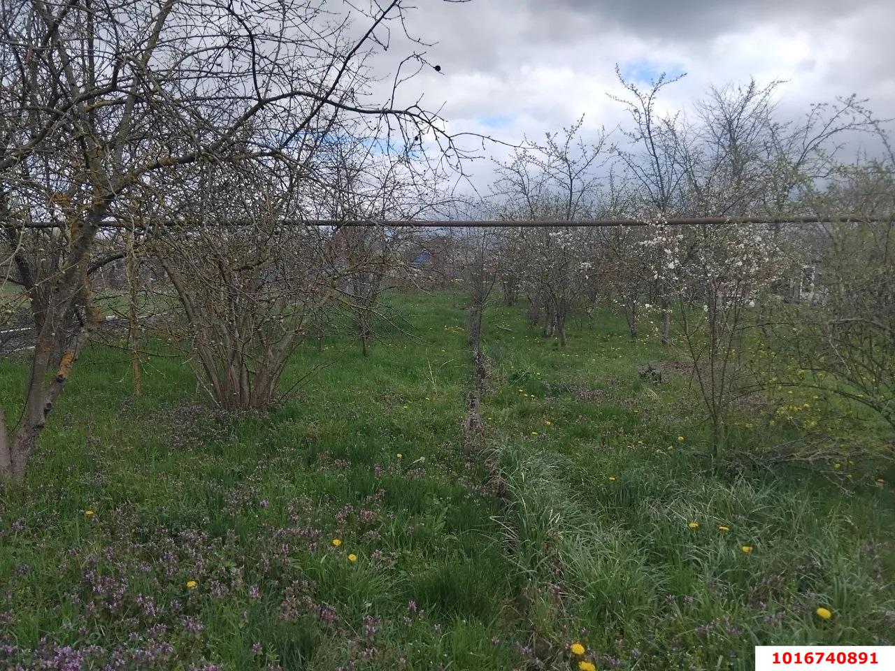 Фото №4: Дом 332 м² + 13 сот. - Приреченский, ул. Шоссейная, 20