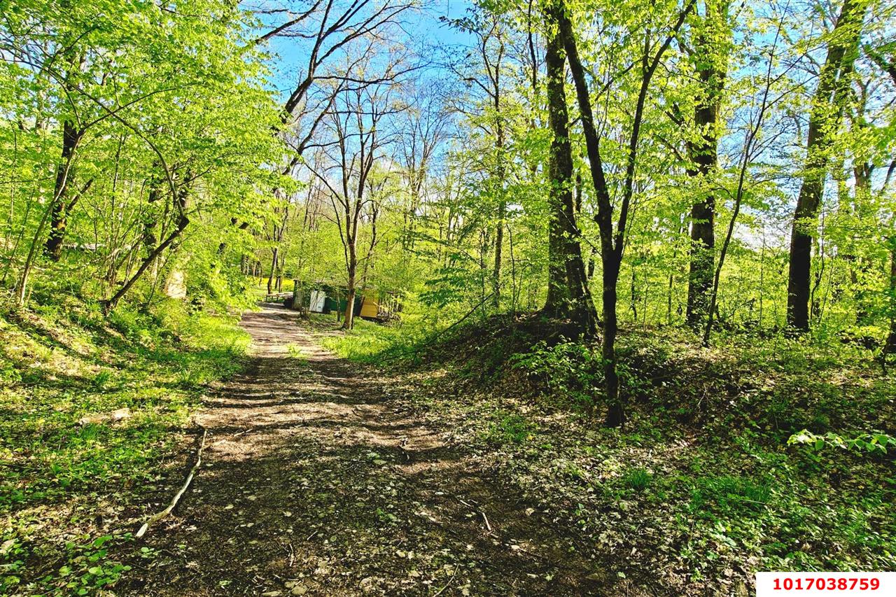 Фото №19: Готовый бизнес 250 м² - Ставропольская