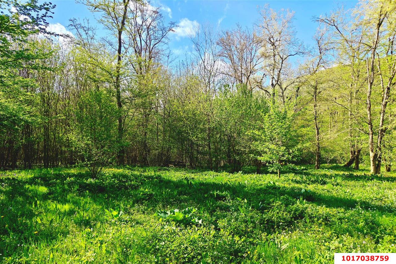 Фото №4: Готовый бизнес 250 м² - Ставропольская