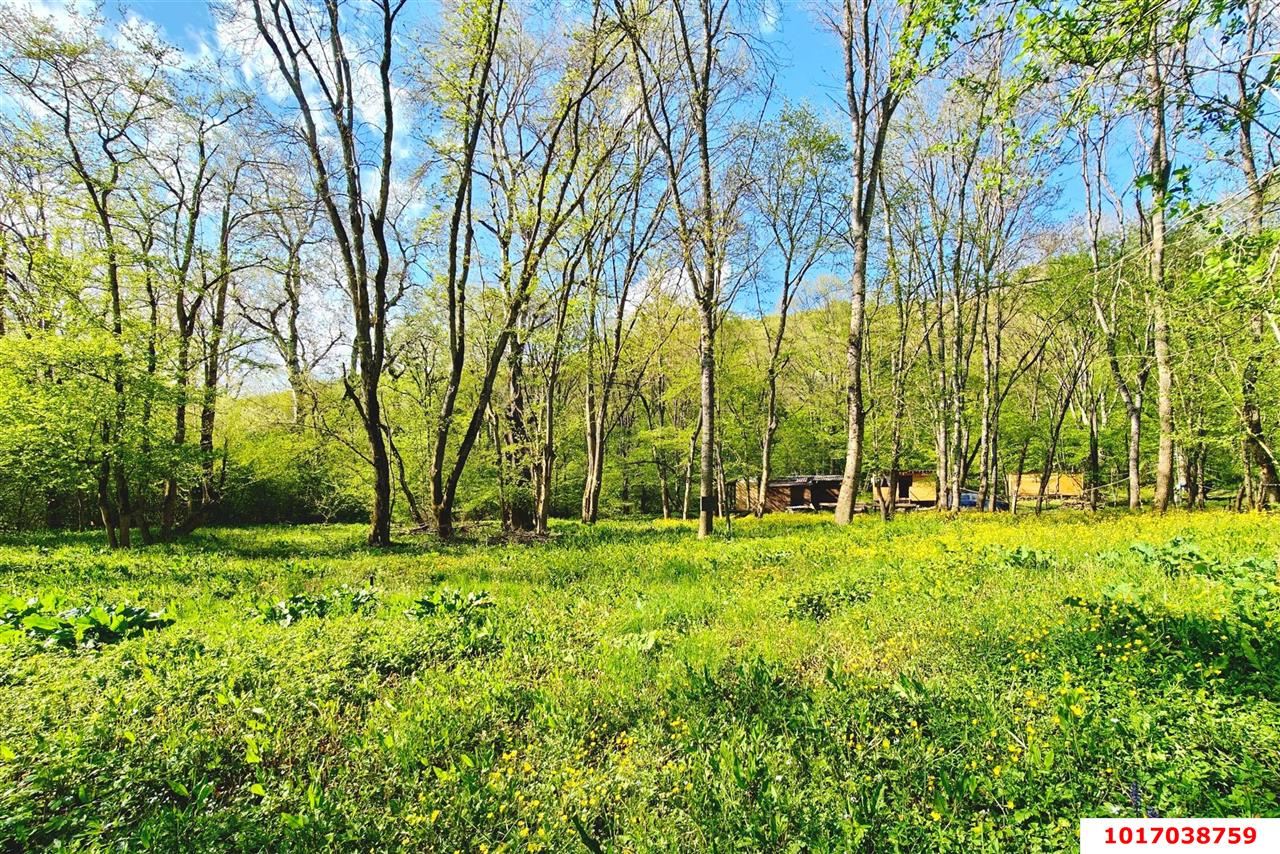 Фото №2: Готовый бизнес 250 м² - Ставропольская