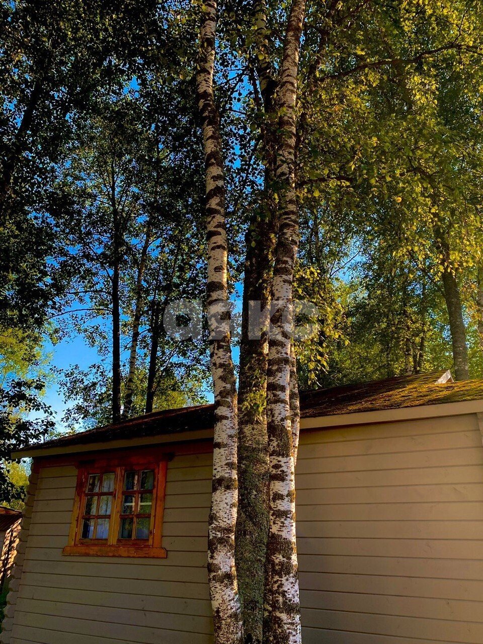 Фото №6: Участок садоводство 9.5 сот. - Кузяево