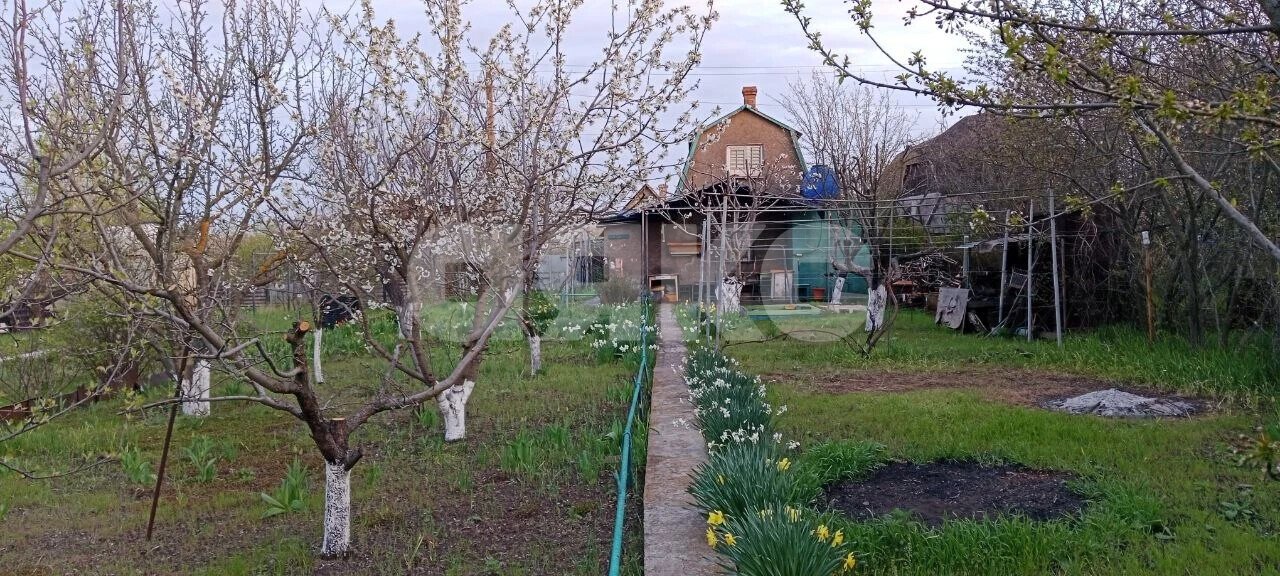 Фото №6: Участок садоводство 490 сот. - Мариуполь, р. Жовтневый, ул. Административная площадь