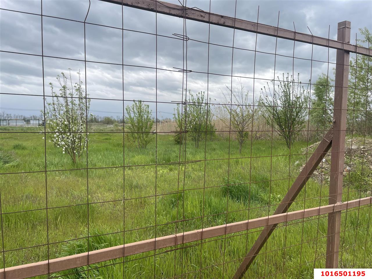 Фото №5: Коммерческая земля 31.26 сот. - Краснодар, мкр. Карасунский внутригородской округ