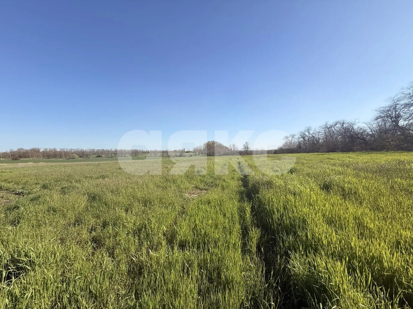 Фото №5: Земельный участок под ИЖС 6 сот. - Краснодарский край Кореновский район