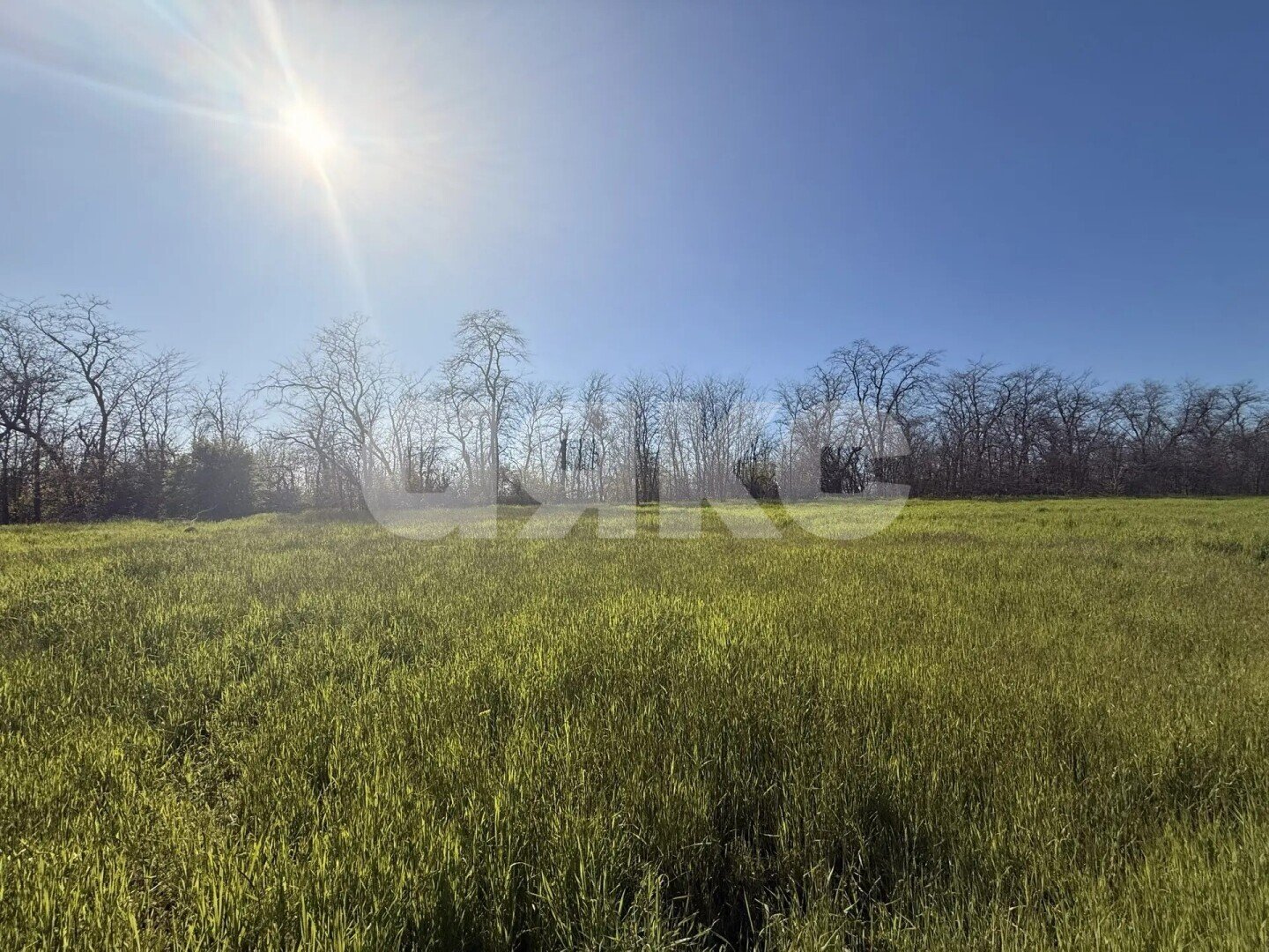 Фото №2: Земельный участок под ИЖС 6 сот. - Краснодарский край Кореновский район