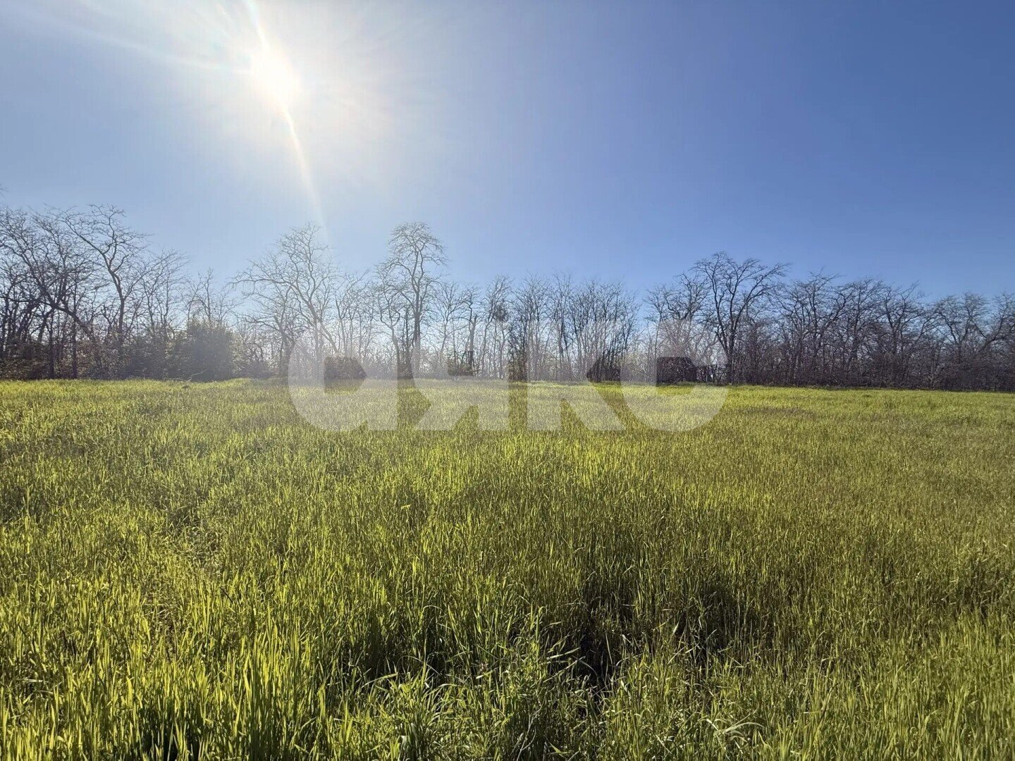 Фото №4: Земельный участок под ИЖС 6 сот. - Краснодарский край Кореновский район