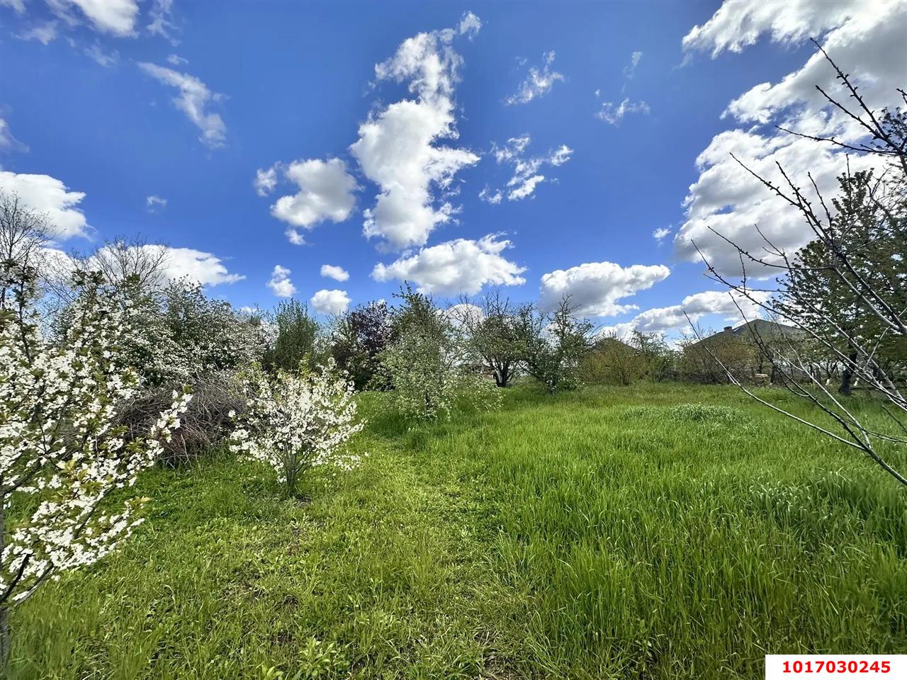 Фото №17: Дом 79 м² + 16.6 сот. - Старомышастовская, ул. Орджоникидзе, 26