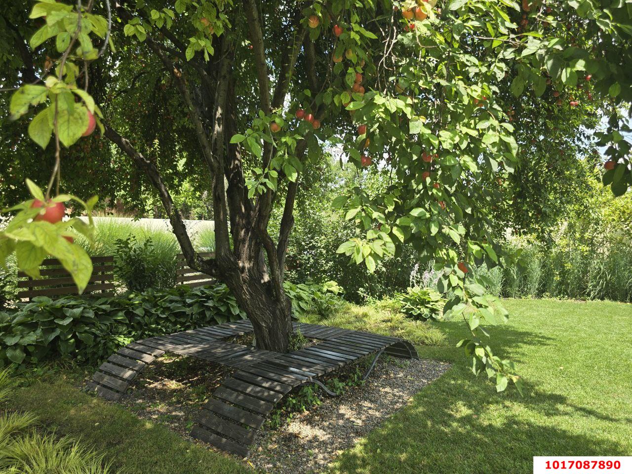 Фото №16: Дом 32 м² + 6.45 сот. - Краснодар, Прикубанский внутригородской округ, Сады Калинина, ст КНИИСХ, ул. Абрикосовая, 303