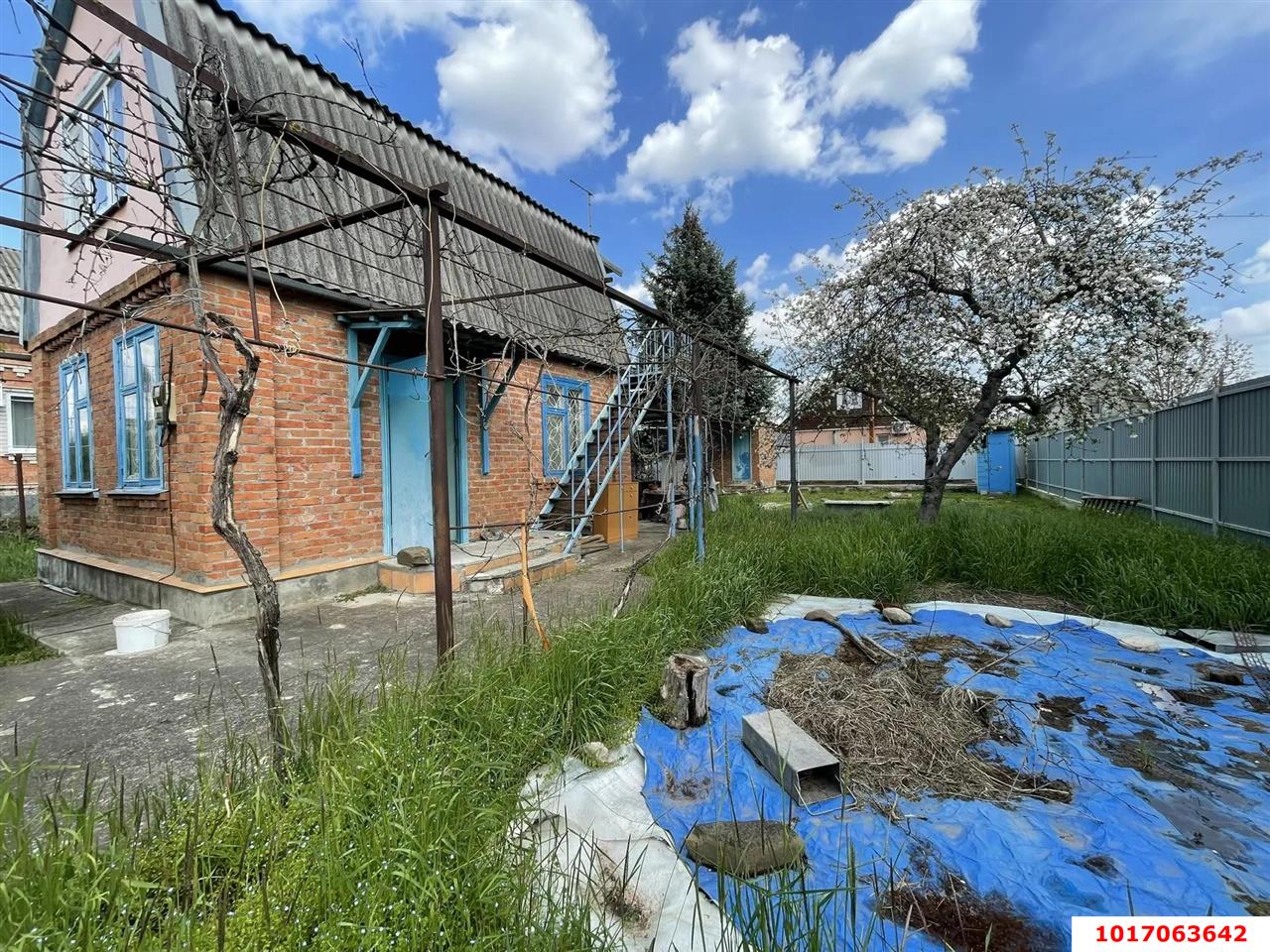 Фото №6: Дом 50 м² + 4.02 сот. - Дружба, мкр. Карасунский внутригородской округ, ул. Ореховая