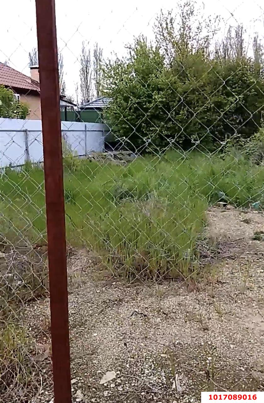 Фото №3: Личное подсобное хозяйство - Краснодар, Прикубанский внутригородской округ, мкр. СТ № 13 завода имени Седина, ул. Совхозная