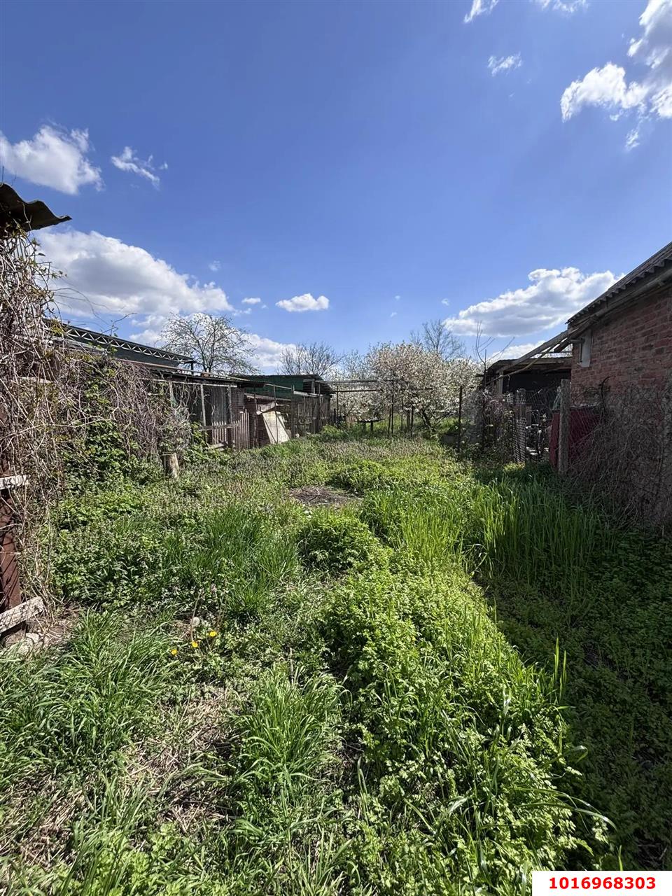 Фото №9: Дом 44 м² + 6 сот. - Елизаветинская, мкр. Прикубанский внутригородской округ, ул. Красная, 322