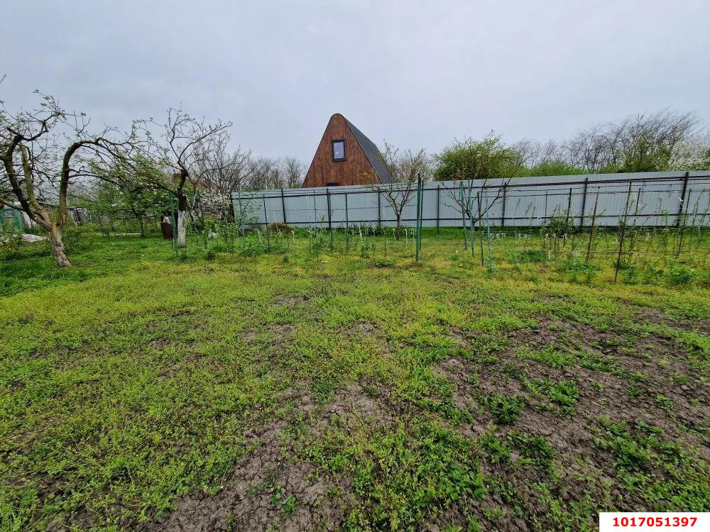 Фото №6: Личное подсобное хозяйство - Шарм, мкр. Прикубанский внутригородской округ, ул. Персиковая