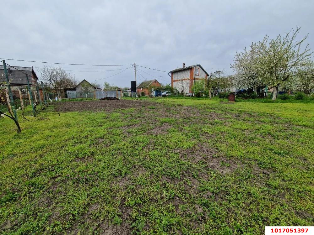 Фото №10: Личное подсобное хозяйство - Шарм, мкр. Прикубанский внутригородской округ, ул. Персиковая