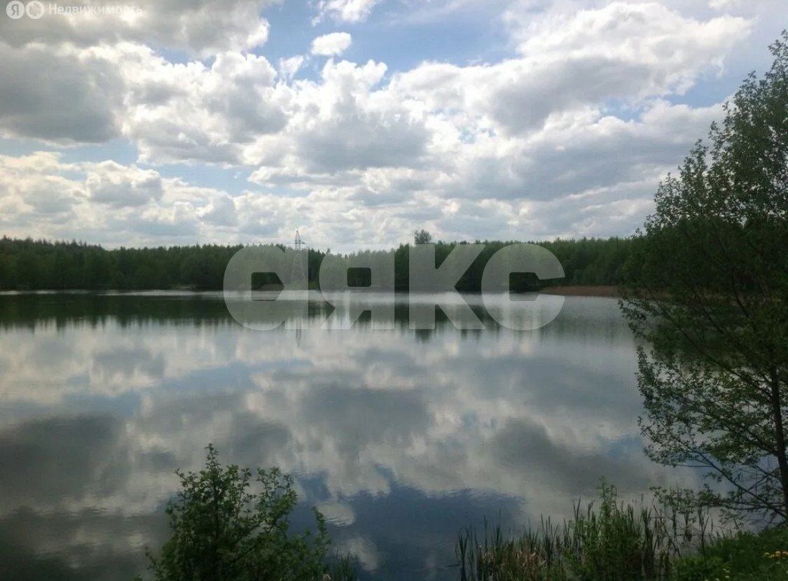 Фото №3: Дачное некоммерческое партнерство 9 сот. - Булгаково
