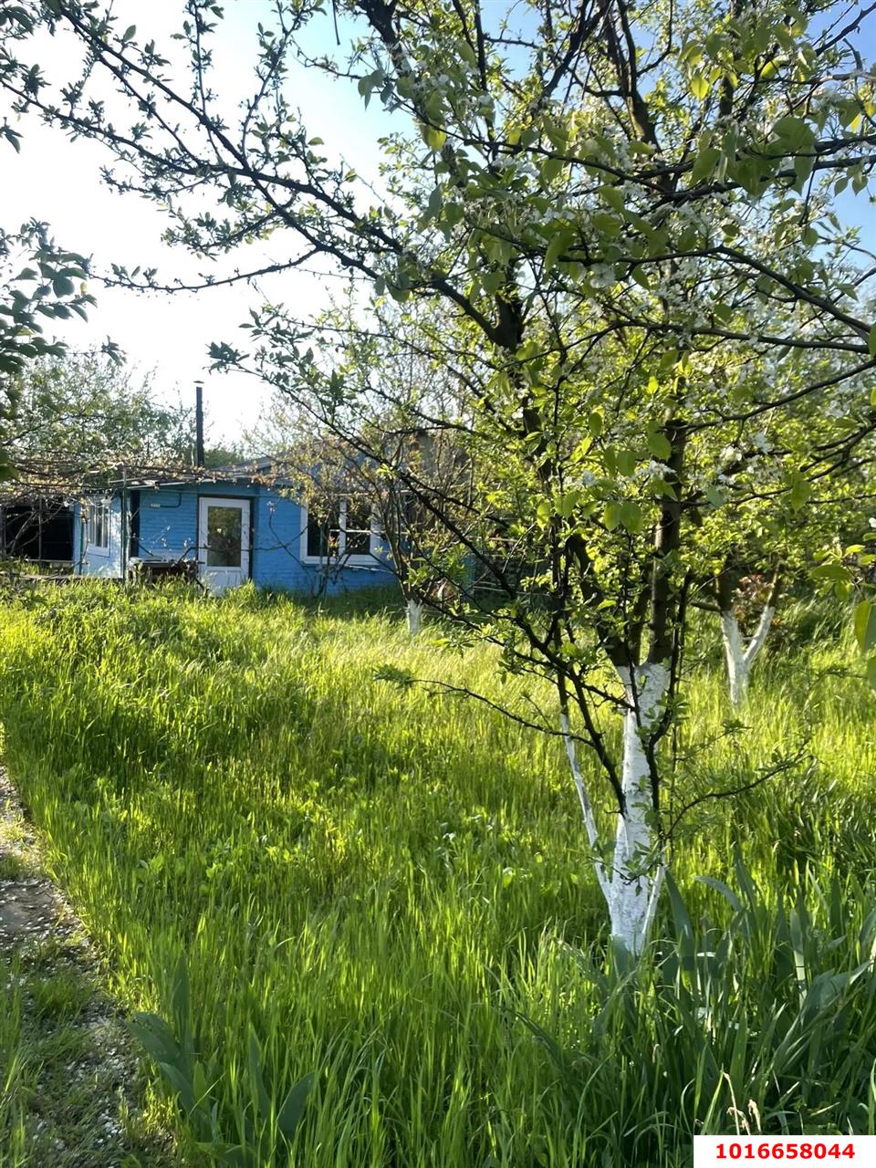 Фото №3: Личное подсобное хозяйство - Елизаветинская, Прикубанский внутригородской округ, ст Речник, ул. Флотская, 143
