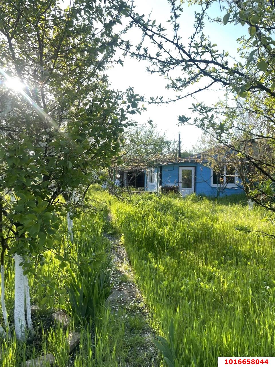 Фото №8: Личное подсобное хозяйство - Елизаветинская, Прикубанский внутригородской округ, ст Речник, ул. Флотская, 143
