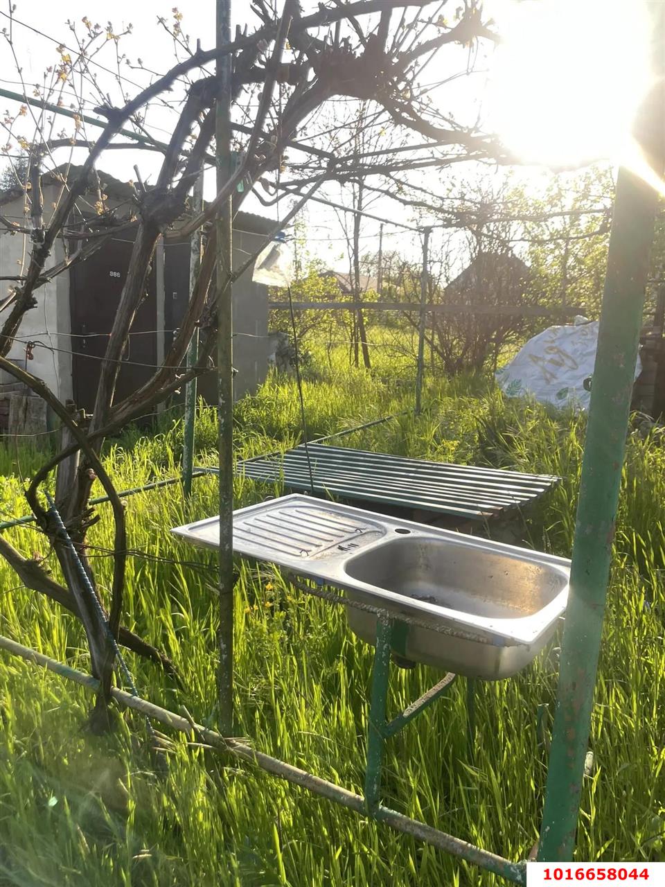 Фото №4: Личное подсобное хозяйство - Елизаветинская, Прикубанский внутригородской округ, ст Речник, ул. Флотская, 143