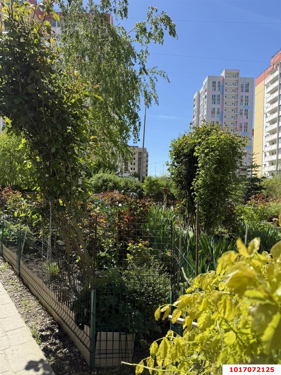 Фото №14: 2-комнатная квартира 60 м² - Краснодар, Карасунский внутригородской округ, Почтовый, мкр. жилой комплекс Дом у реки, ул. Кружевная, 6