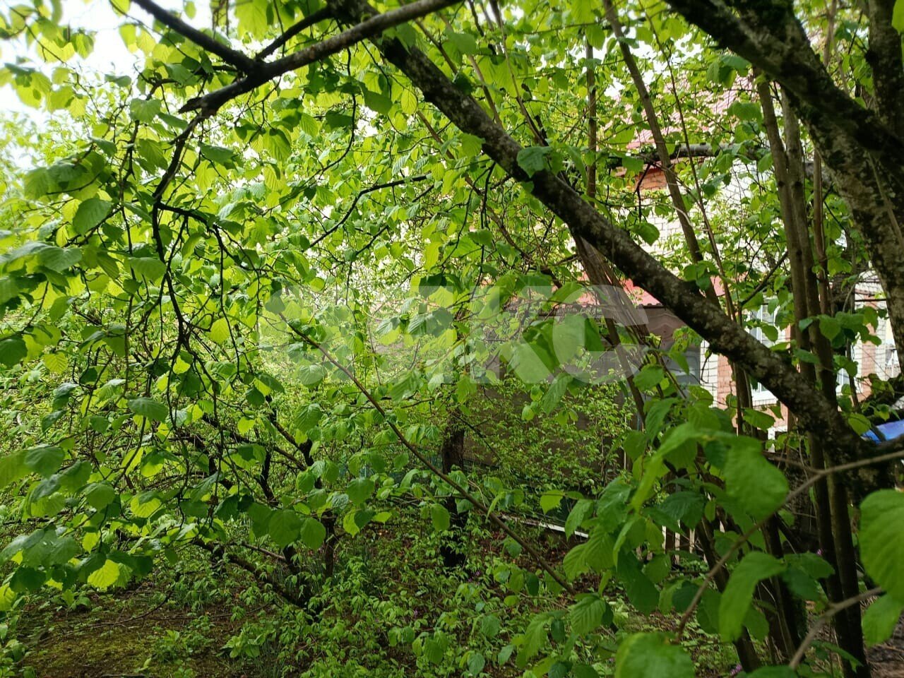 Фото №3: Участок садоводство 5.73 сот. - Горячий Ключ, Городская Больница, мкр. СТ Кунпанова Поляна, ул. Больничная
