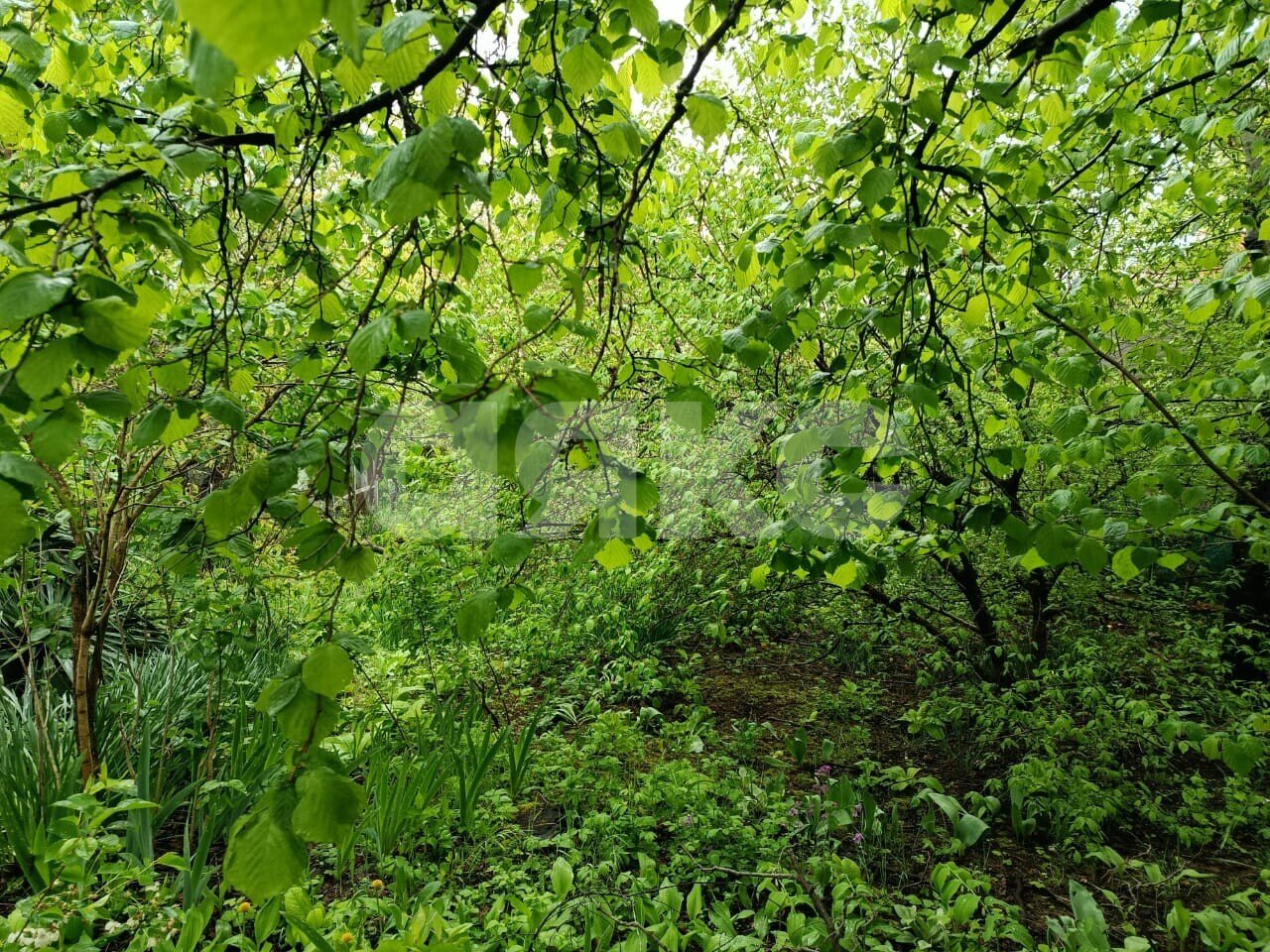 Фото №8: Участок садоводство 5.73 сот. - Горячий Ключ, Городская Больница, мкр. СТ Кунпанова Поляна, ул. Больничная