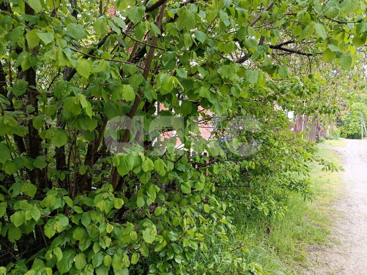 Фото №6: Участок садоводство 5.73 сот. - Горячий Ключ, Городская Больница, мкр. СТ Кунпанова Поляна, ул. Больничная