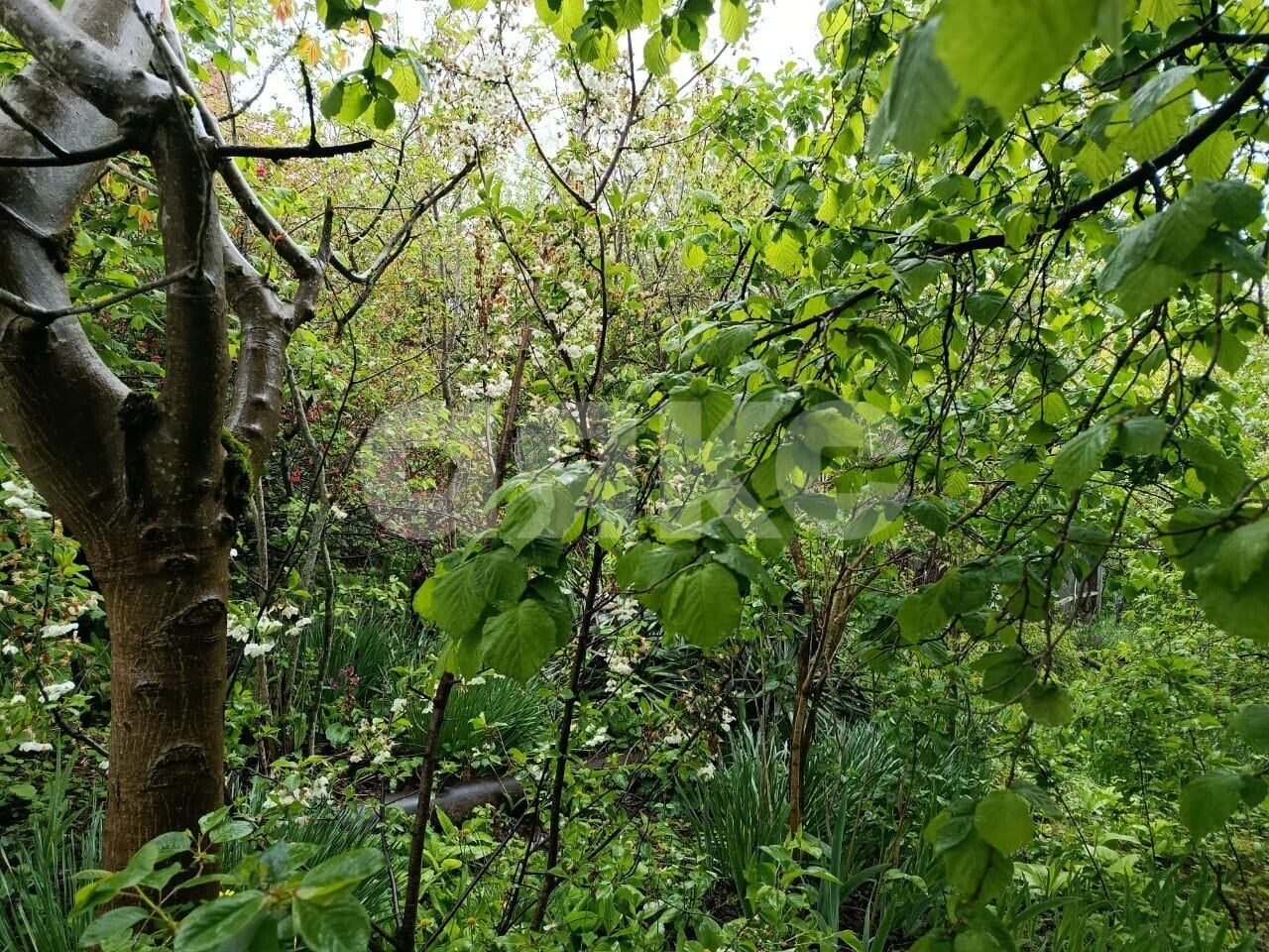 Фото №4: Участок садоводство 5.73 сот. - Горячий Ключ, Городская Больница, мкр. СТ Кунпанова Поляна, ул. Больничная