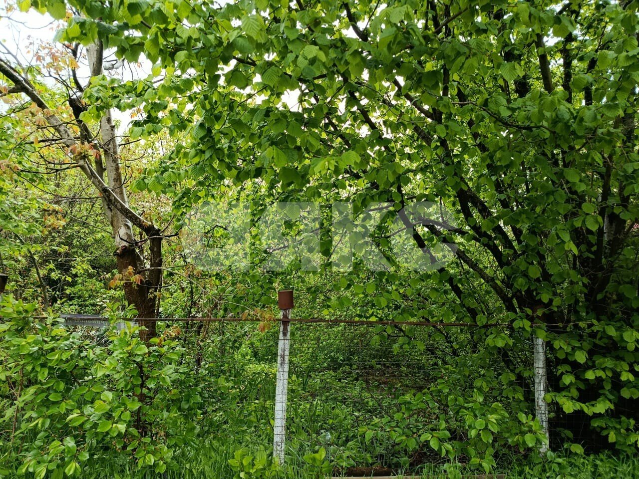 Фото №2: Участок садоводство 5.73 сот. - Горячий Ключ, Городская Больница, мкр. СТ Кунпанова Поляна, ул. Больничная