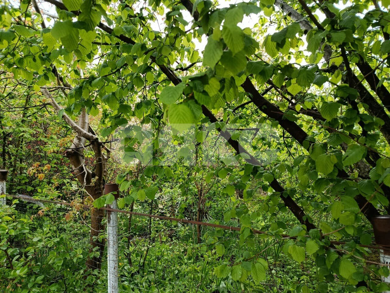 Фото №5: Участок садоводство 5.73 сот. - Горячий Ключ, Городская Больница, мкр. СТ Кунпанова Поляна, ул. Больничная