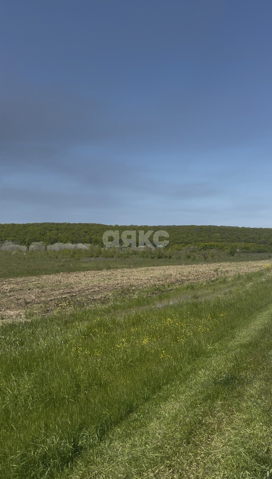Фото №3: Коммерческая земля 206 сот. - Республика Адыгея (Адыгея) Майкопский район