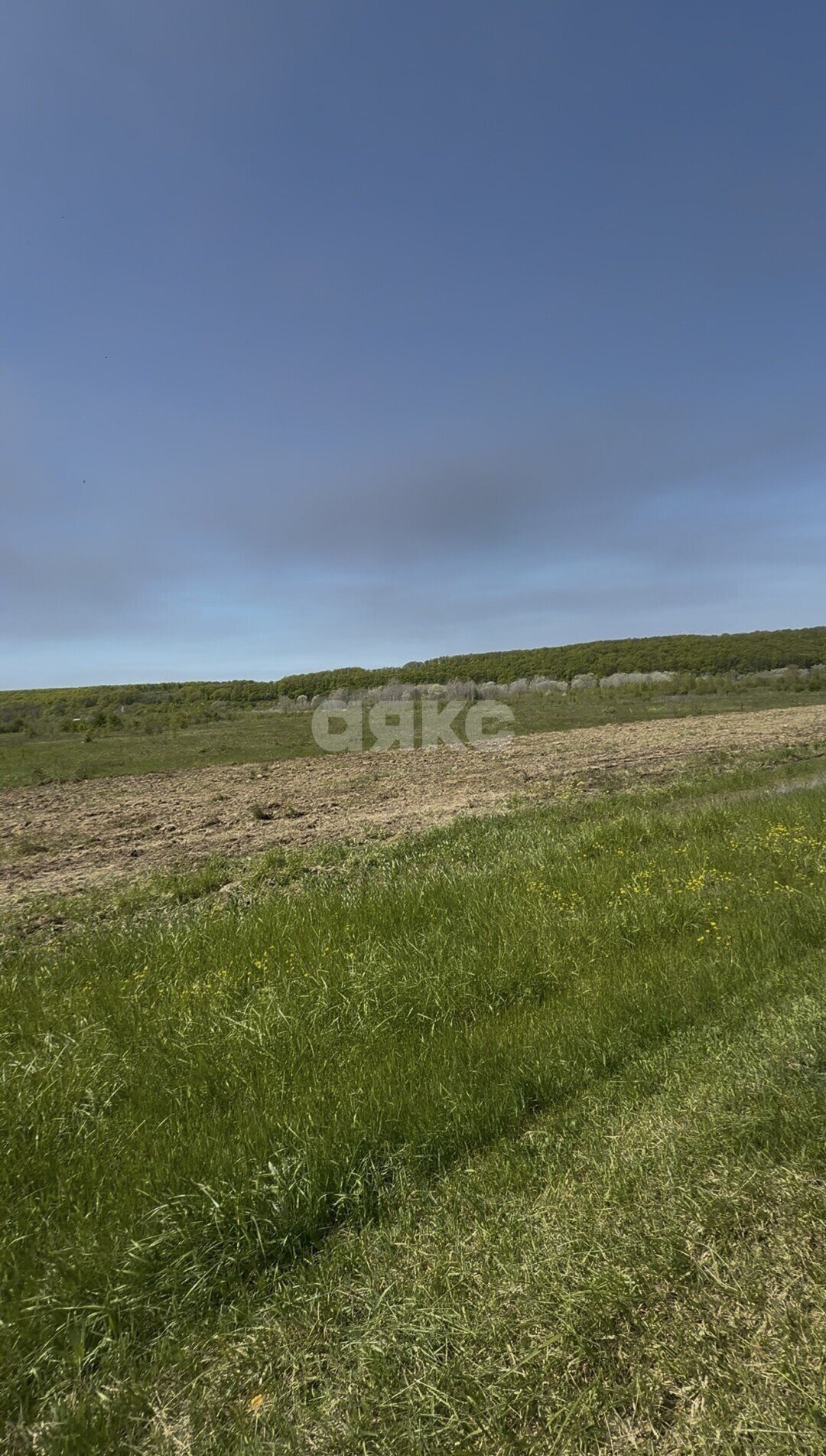 Фото №7: Коммерческая земля 206 сот. - Республика Адыгея (Адыгея) Майкопский район