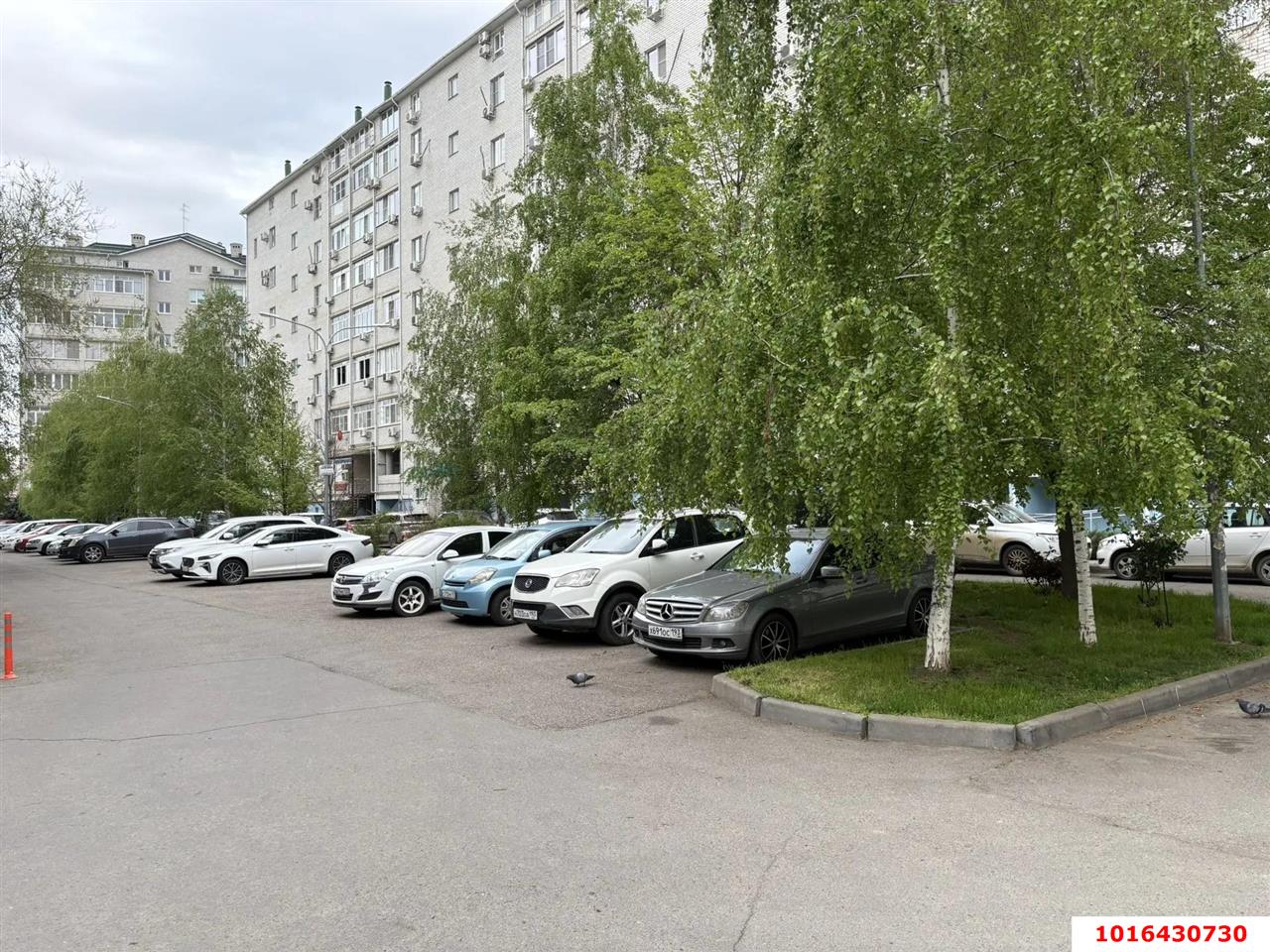 Фото №13: 1-комнатная квартира 52 м² - Краснодар, Прикубанский внутригородской округ, мкр. Восточно-Кругликовский, ул. Черкасская, 91/1