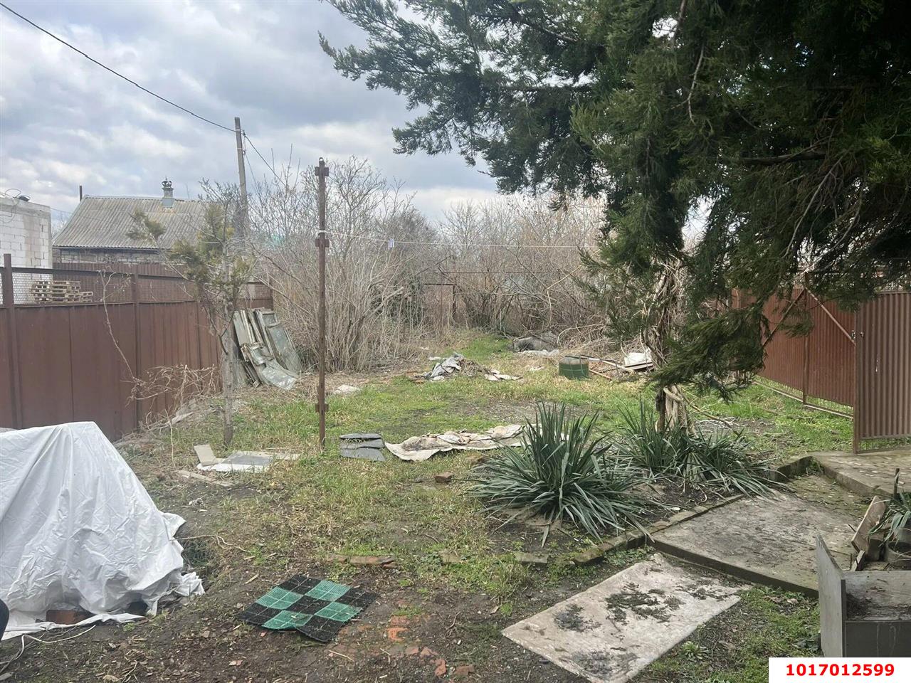 Фото №3: Личное подсобное хозяйство - Краснодар, Прикубанский внутригородской округ, мкр. СТ № 13 завода имени Седина, ул. Центральная, 526