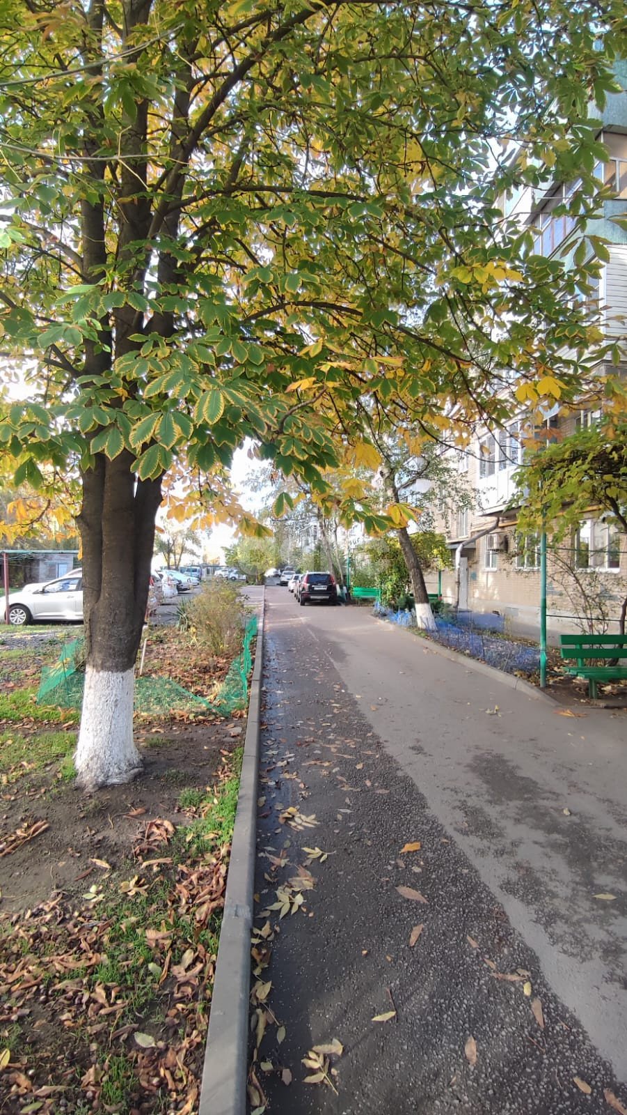 Фото №6: 2-комнатная квартира 45 м² - Батайск, ул. Октябрьская, 116