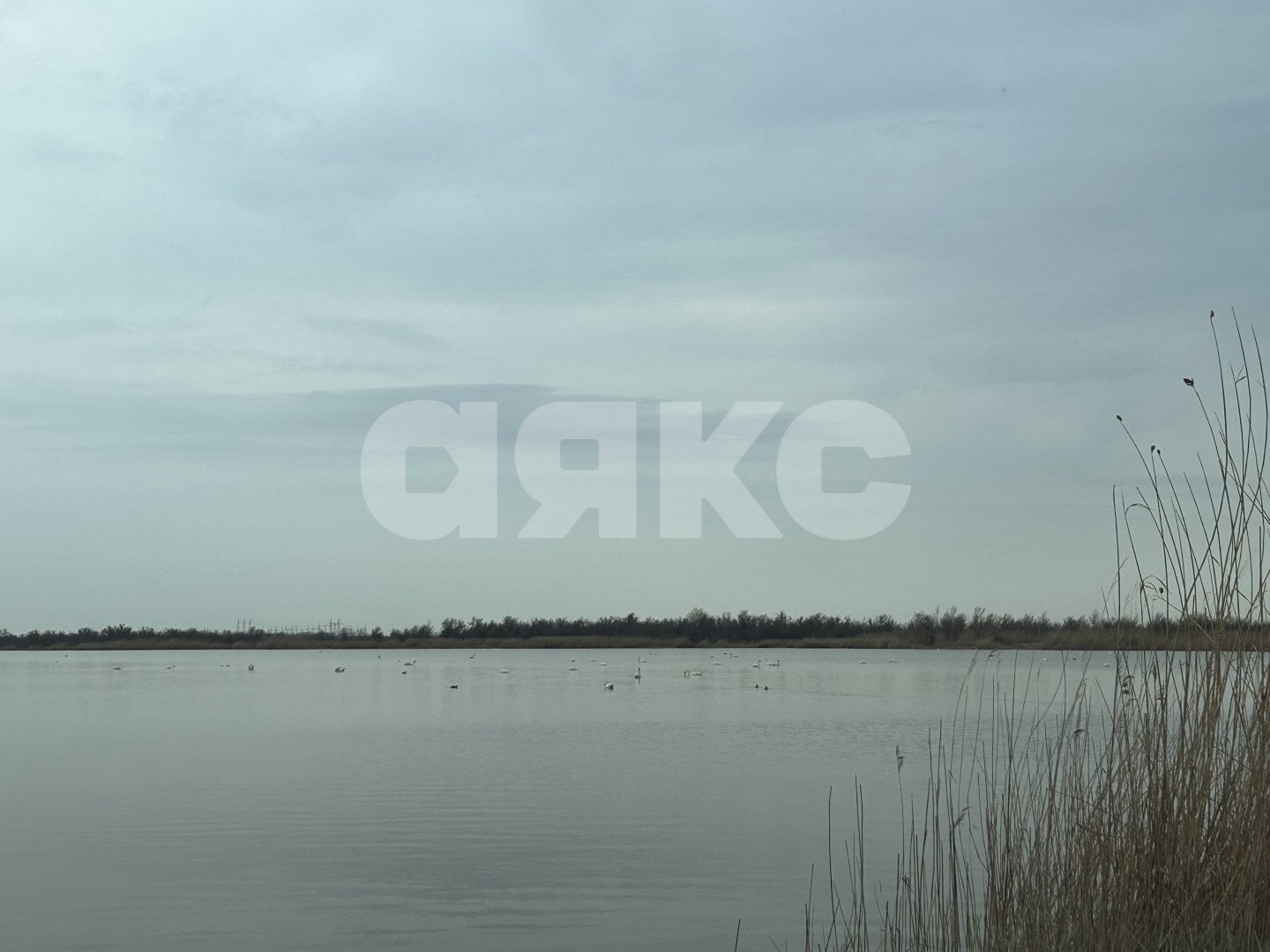 Фото №10: Дом 78 м² + 3.5 сот. - Кулешовка, ул. Персиковая, 20