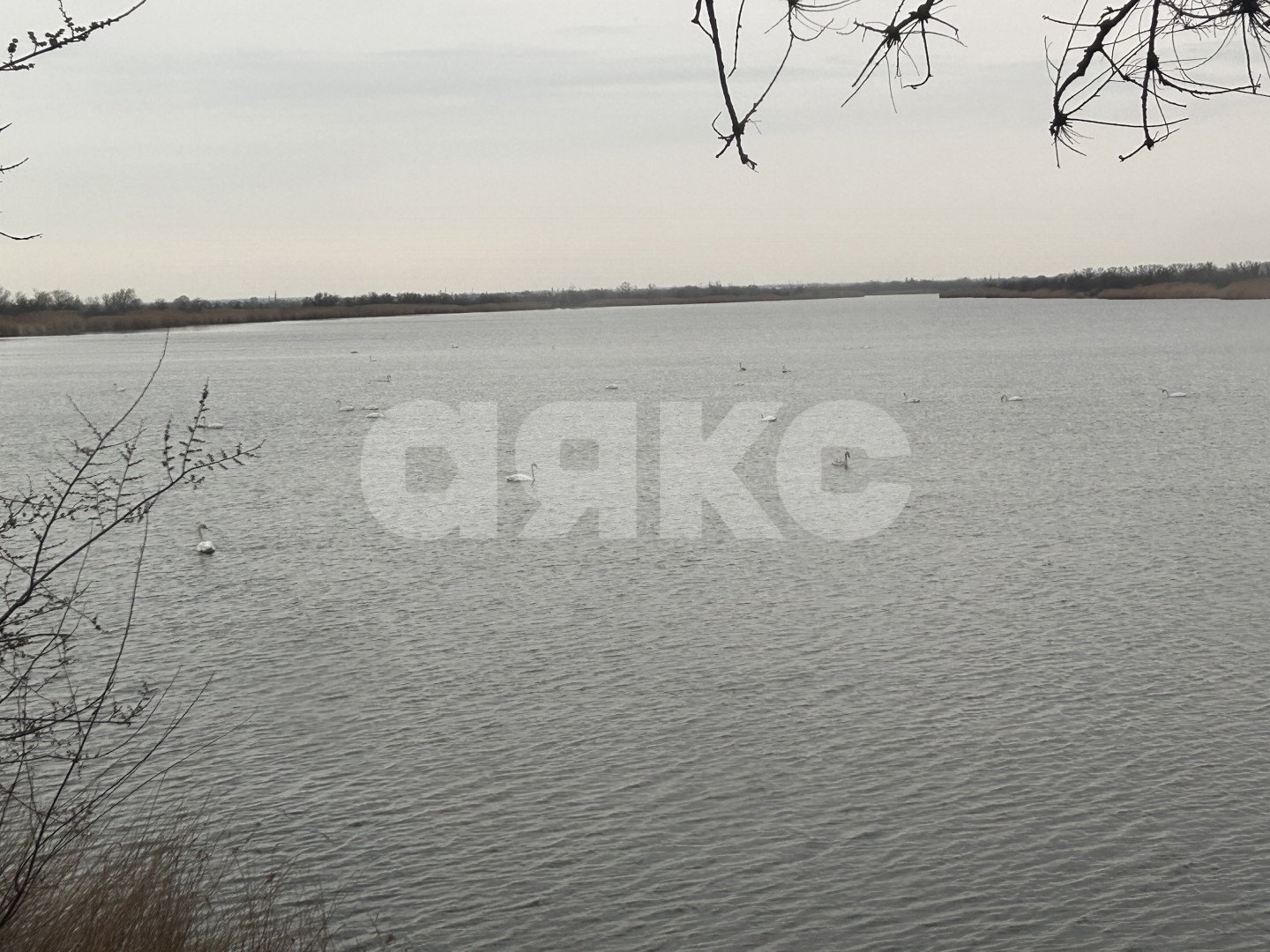 Фото №11: Дом 78 м² + 3.5 сот. - Кулешовка, ул. Персиковая, 20