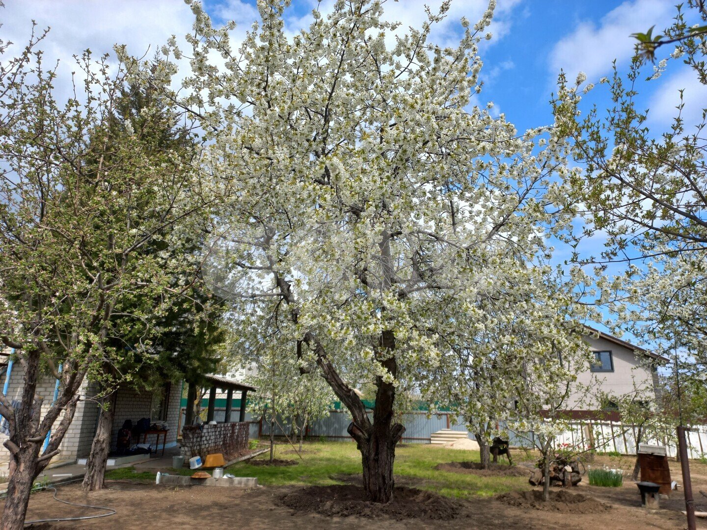 Фото №10: Дача 72 м² + 10 сот. - СНТ Монтажник, ул. 16-я, 14