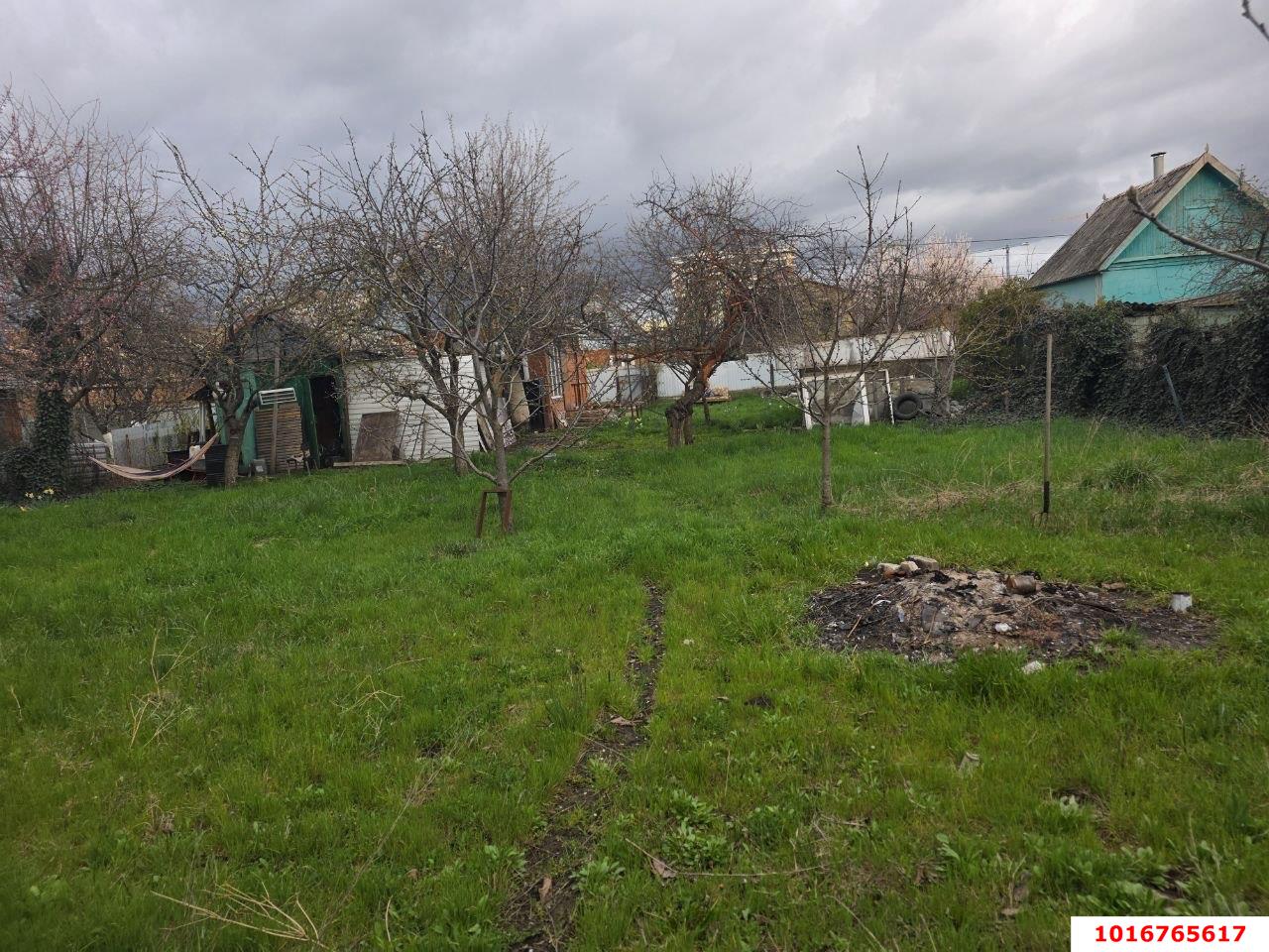 Фото №6: Личное подсобное хозяйство - Краснодар, Прикубанский внутригородской округ, мкр. СТ № 13 завода имени Седина, ул. имени Седина, 282