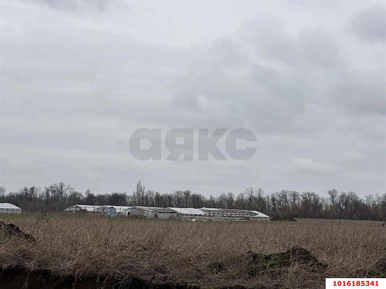 Фото №2: Земельный участок под ИЖС - Дружелюбный, мкр. Прикубанский внутригородской округ