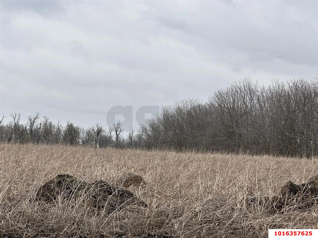 Фото №3: Земельный участок под ИЖС - Дружелюбный, мкр. Прикубанский внутригородской округ